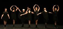 Gala de danse classique adultes 2026 